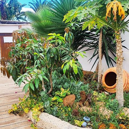 Beautiful Chalet With Wifi And Free Parking Arona  Ngoại thất bức ảnh