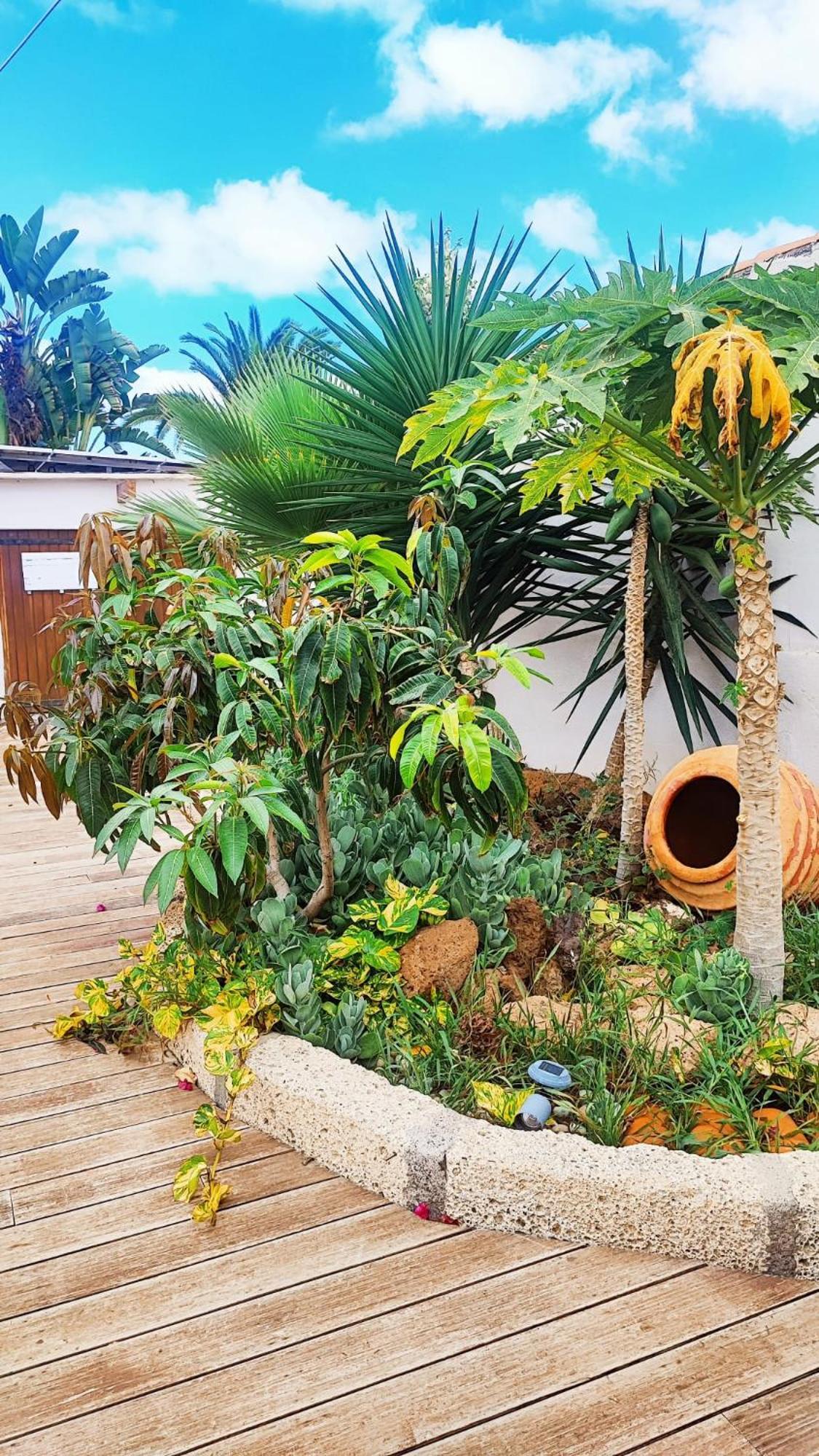 Beautiful Chalet With Wifi And Free Parking Arona  Ngoại thất bức ảnh